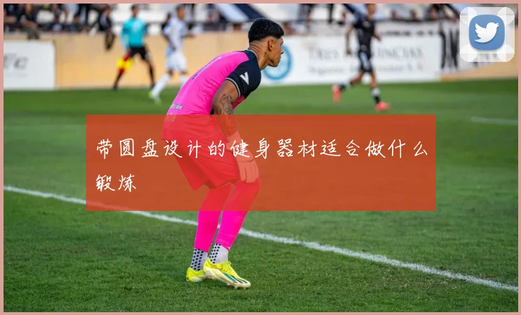 带圆盘设计的健身器材适合做什么锻炼