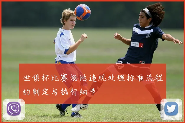 世俱杯比赛场地违规处理标准流程的制定与执行细节