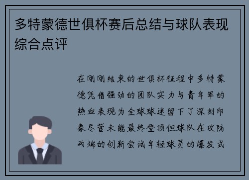多特蒙德世俱杯赛后总结与球队表现综合点评